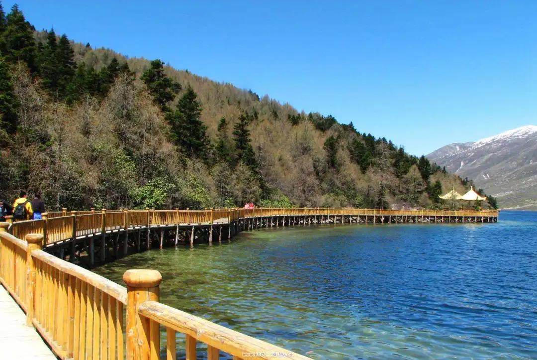 ad4dd67e8f5cef1644b03739988bebd3-sz_251173 ad4dd67e8f5cef1644b03739988bebd3-sz_251173