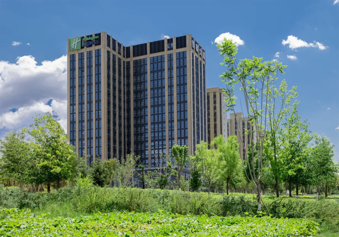 ad5b751663a470cb96a23e4718337573-sz_3950364