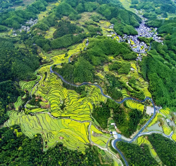 ad634d69d5b2126a3190ebcecd9381f1-sz_2529595-1