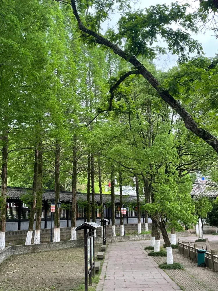 ad784df35f6298c77a311e6fbdba78c8-sz_4154440 ad784df35f6298c77a311e6fbdba78c8-sz_4154440