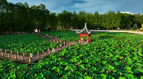 ad812e811a0f418440d6a2631d7bb2b5-sz_323286