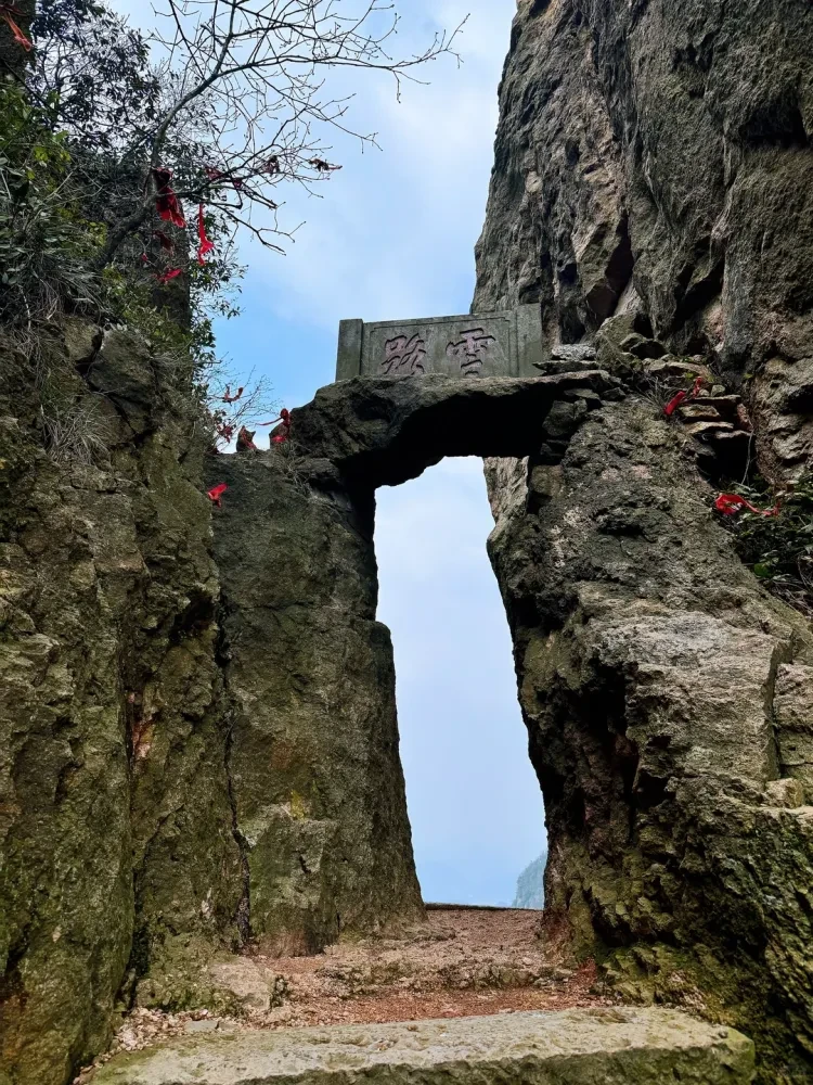 adde6767fd301ccb790927343bb918a1-sz_3824789