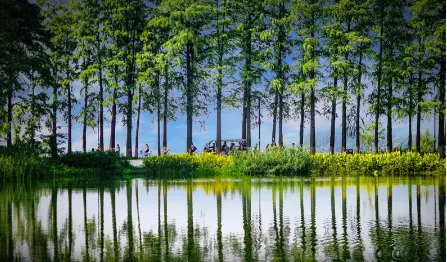 adde731971c1b0140048a85a1b7e37e2-sz_283889