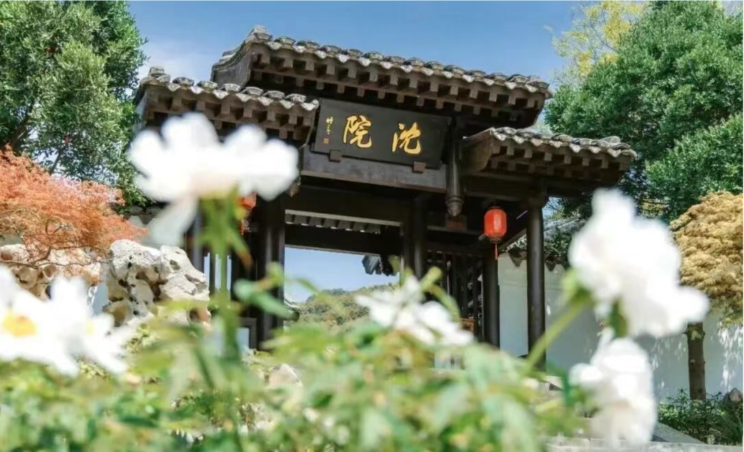 ade5eb029d56073bc9bc47962a004fda