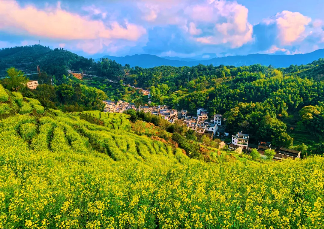 ae40afd62872a58e735bd039732e57ab-sz_720273