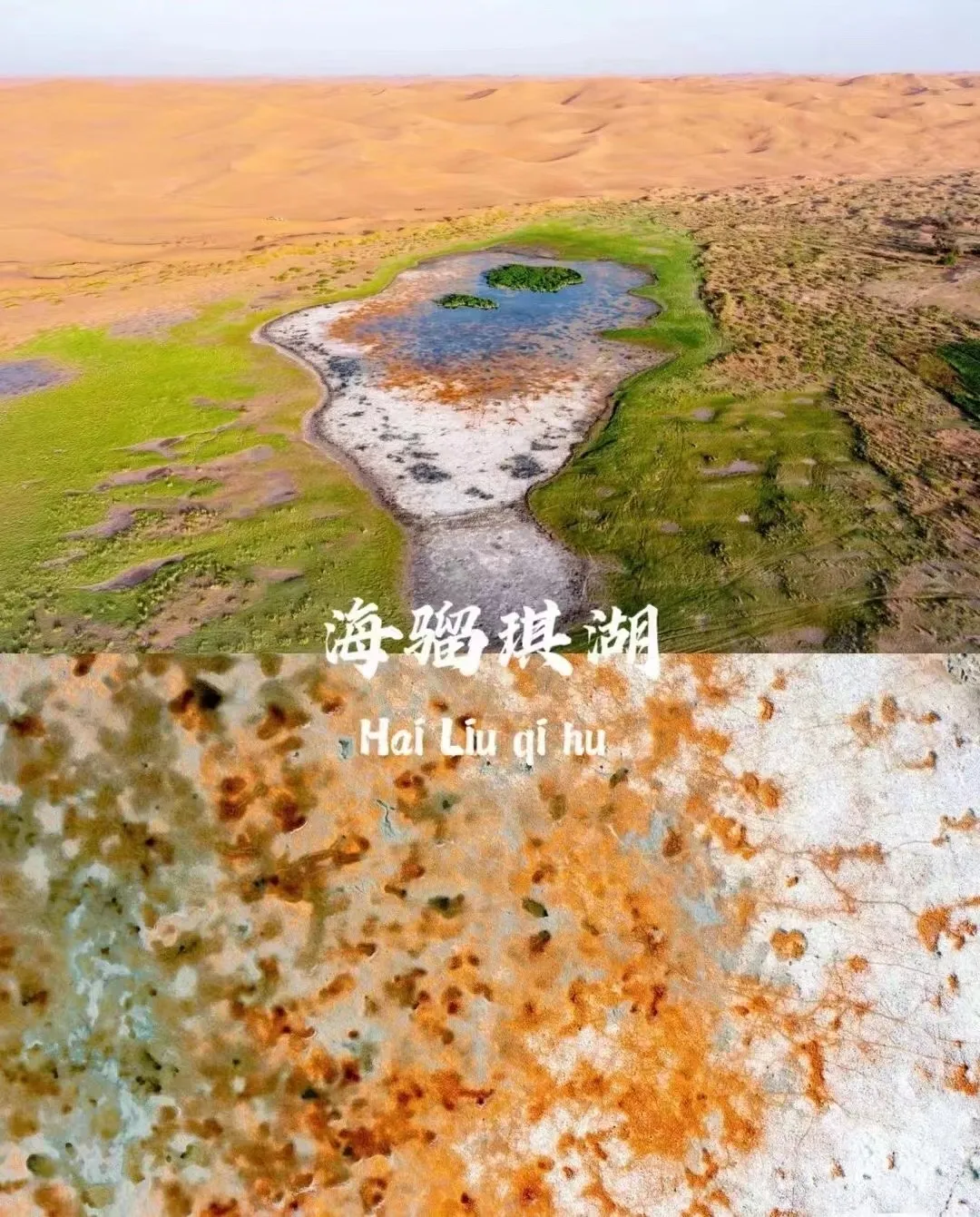 ae5be153bf6af9dd5e6ebca364cba1d2-sz_451730 ae5be153bf6af9dd5e6ebca364cba1d2-sz_451730