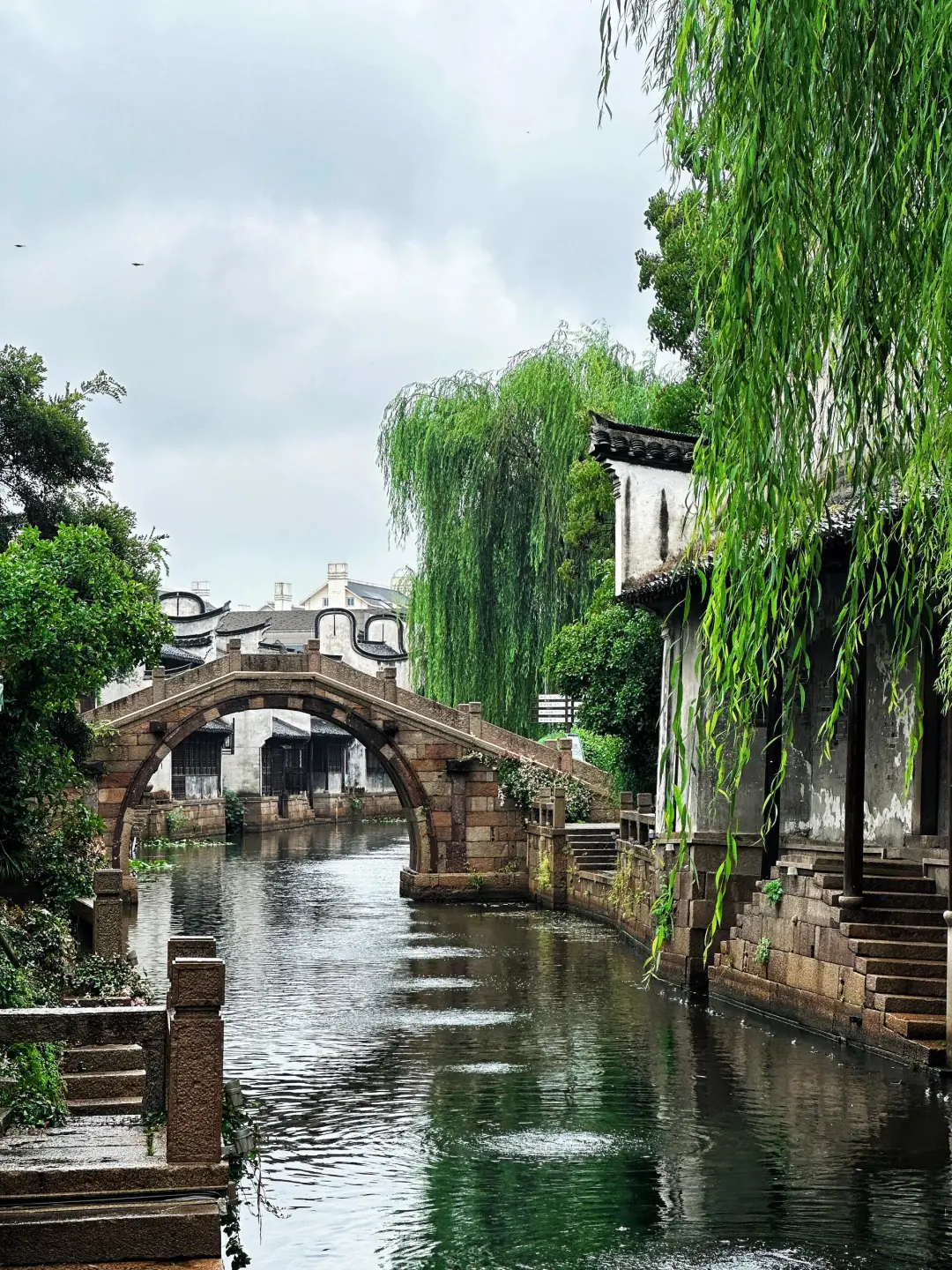 af20e6110f79a967cf584f734de9a12e-sz_1251200