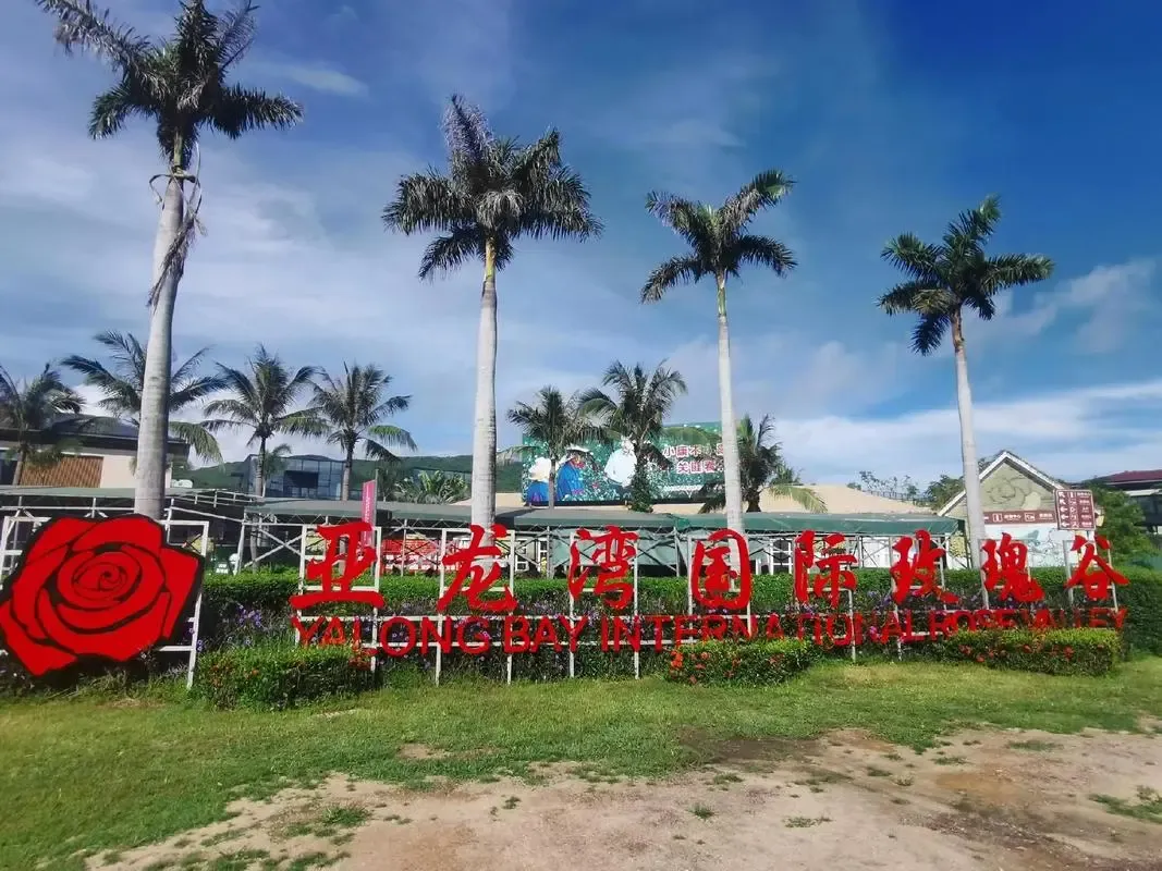 af338c35eb3d25d2887798c256536c11-sz_1298462