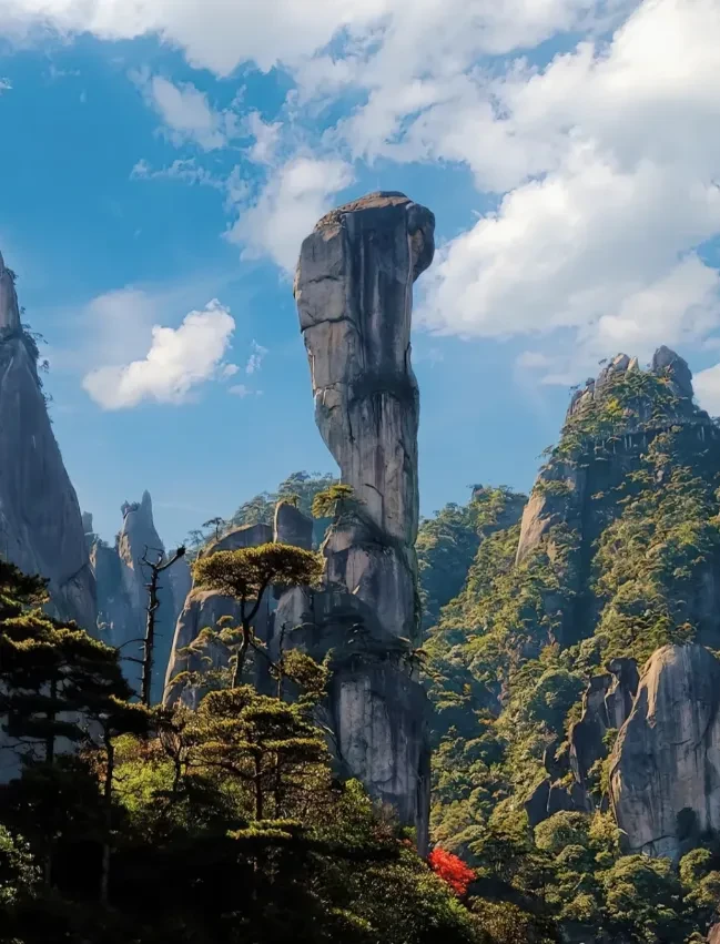 b03dac56dc6f484970325e5c01b2bb40-sz_1216900