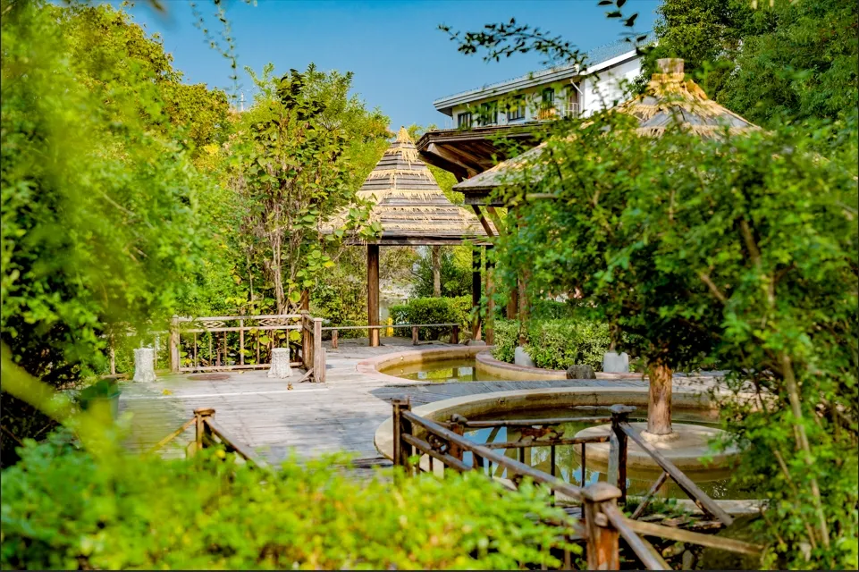 b0449a51ff898b37cbfe42728fca5dd8-sz_615991