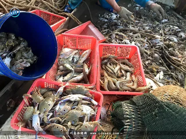 b049c19e412c8b77ee6cd5bf3cf9592d-sz_160429