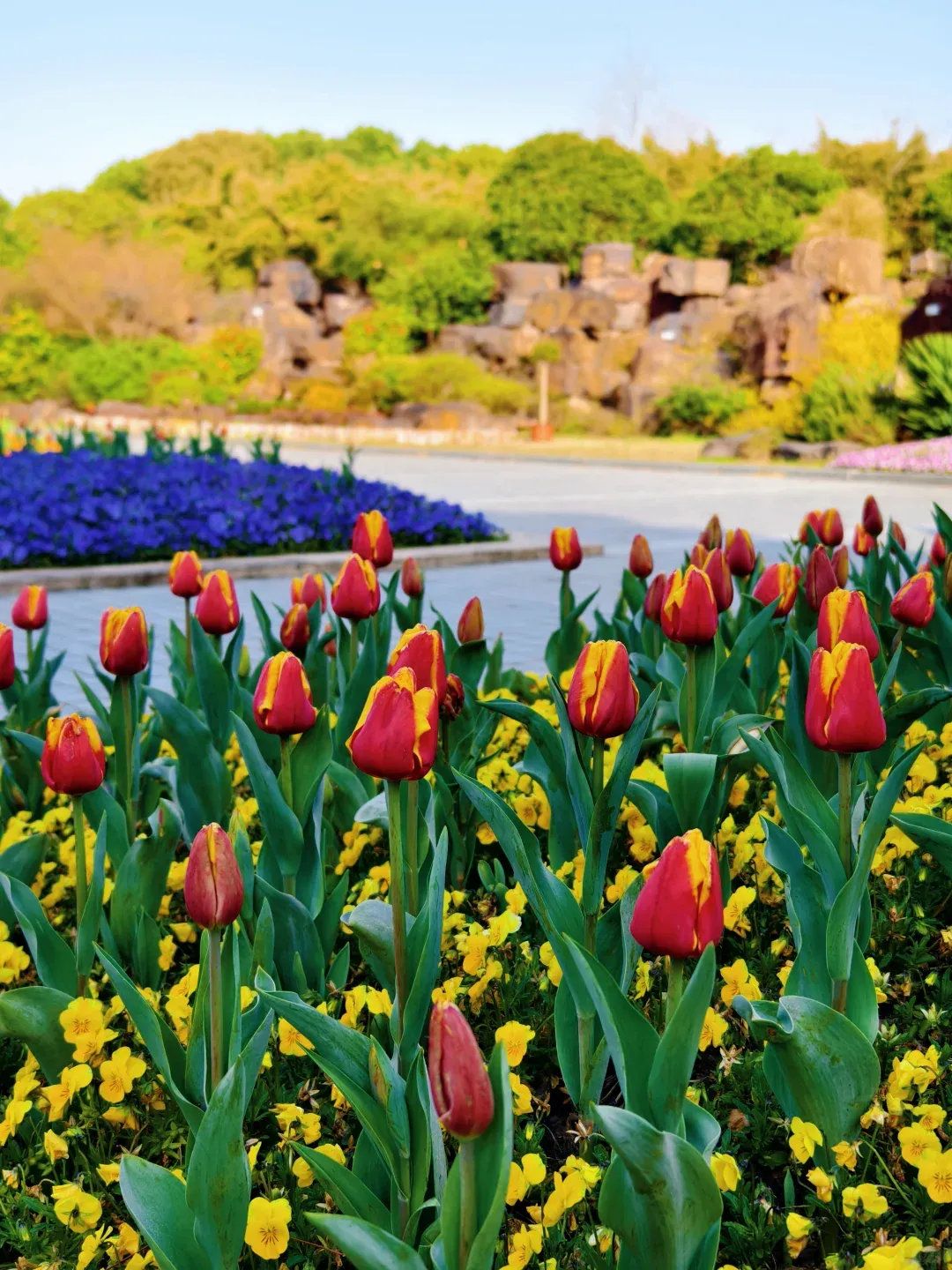 b0b56f01dbe073b9fafa532c86952e44-sz_3353098