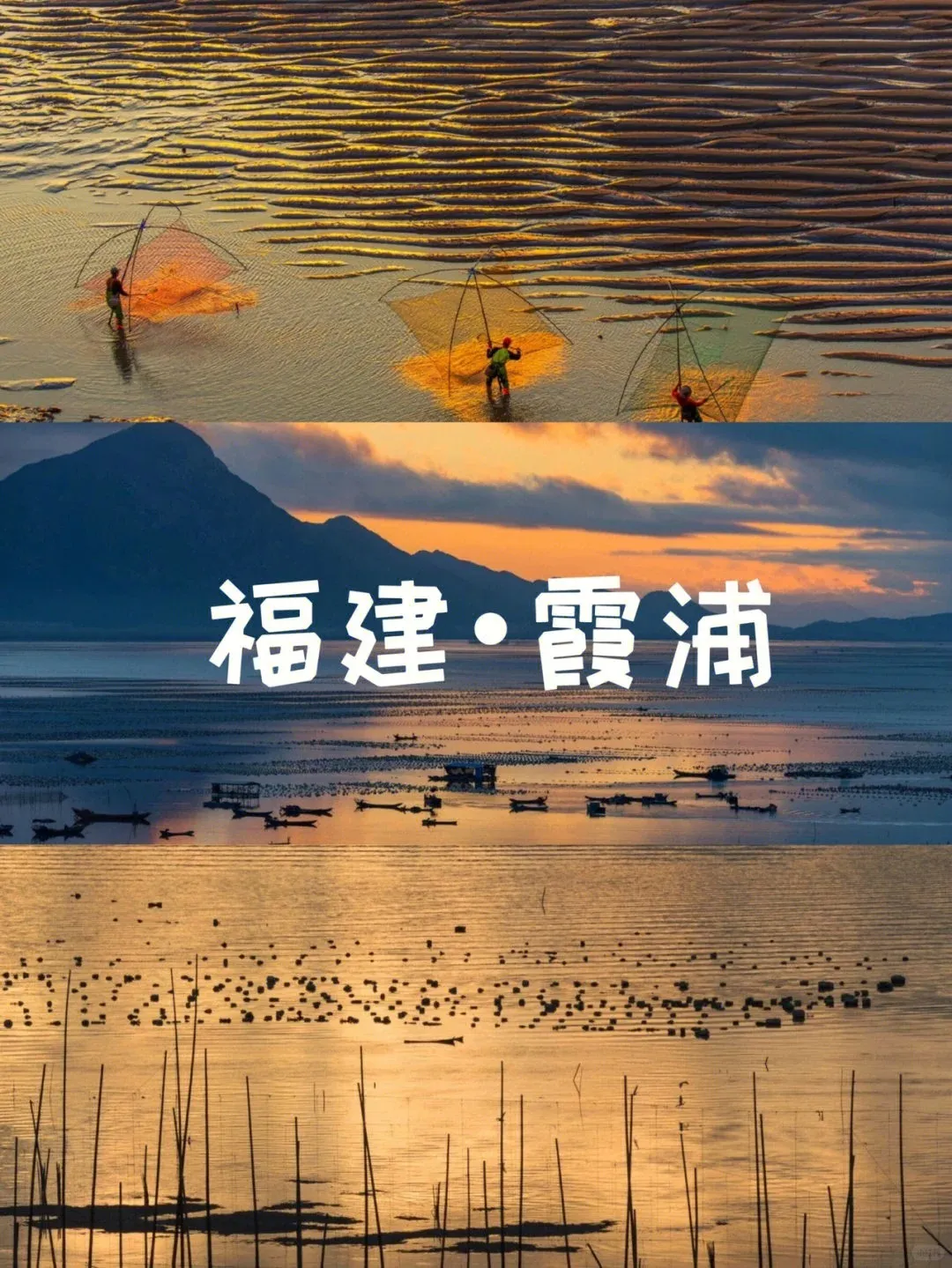 b0c45c01e8878f91c92af4ba8da90dd6-sz_442125