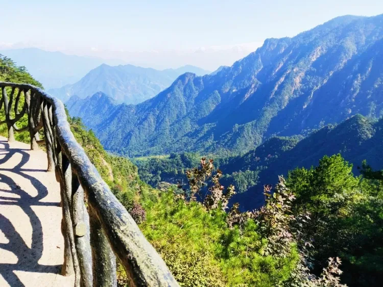 b0e3bb5f0518ef20a3d459eb66c8c5a7-sz_237940