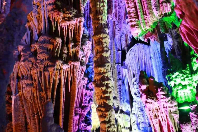 b12991923a429a886a14dc2e876cc250-sz_260203