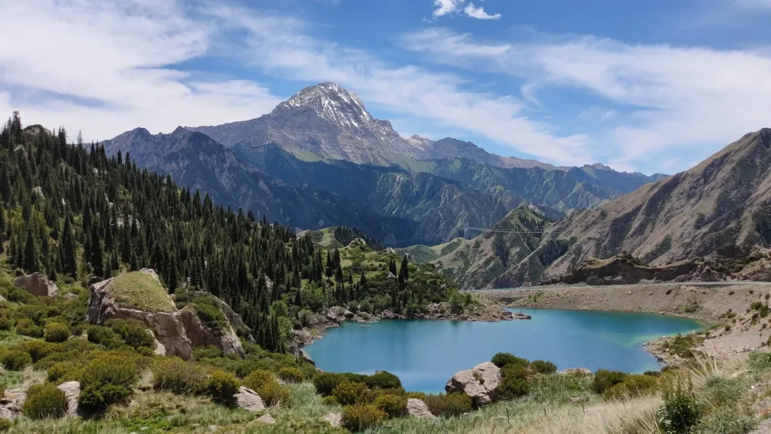 b1345c92e93ba8033c0d3860748b442a-sz_572847