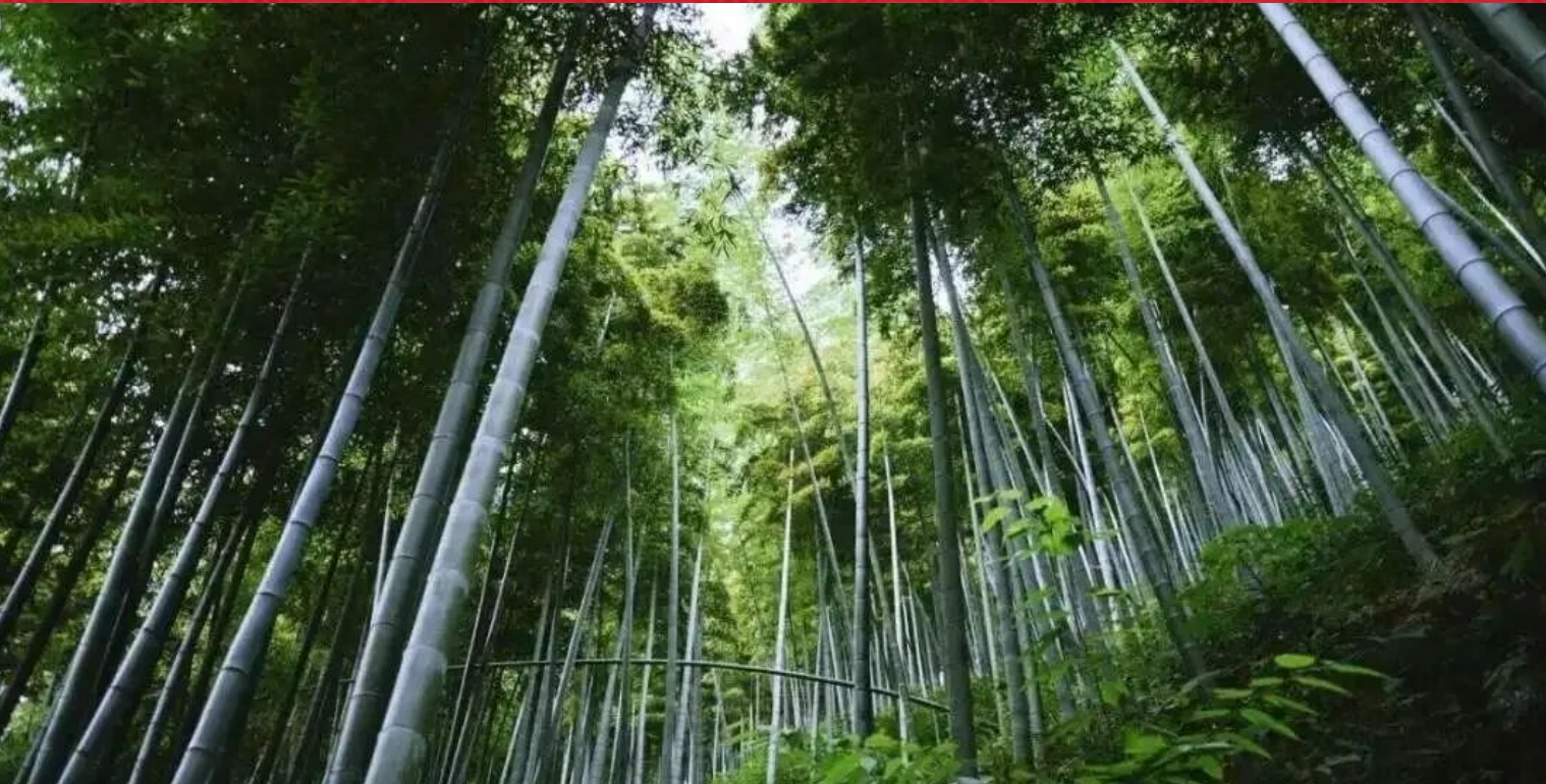 b1a4b591c9166c66cea177c26a0cbc6f