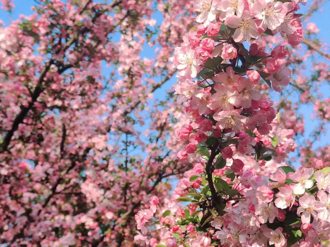 b1b853b5d12fec64ee729cbd7142cf73-sz_671952