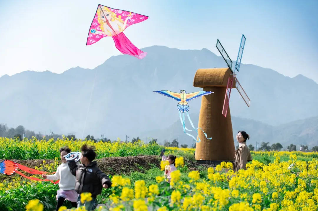 b1bfc77079aa91ca1239ac9196df92ec-sz_2568898