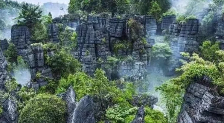 b227ff9db37f842c9a4ba750d0b65e0e-sz_131722-1