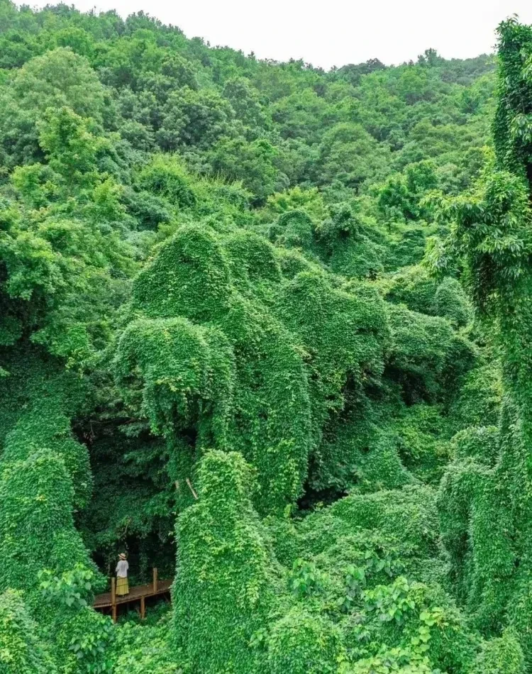 b22f9642facdbe63e7ae56a4d17bc812-sz_3916627