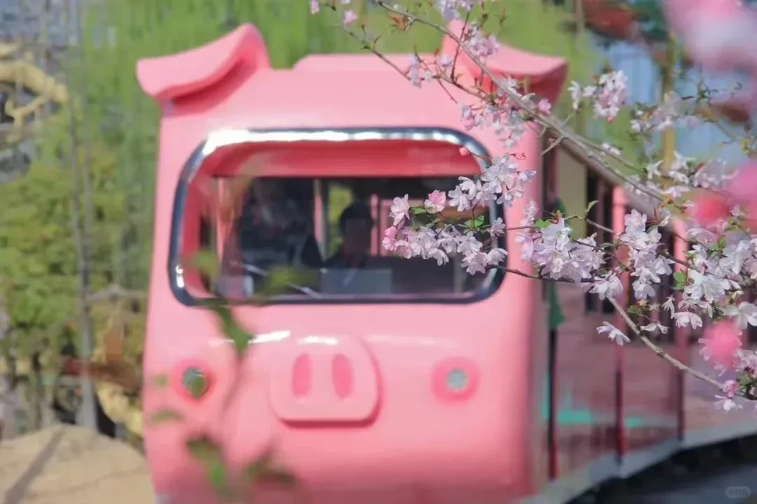 b23c9758681894b5d5475893fba6a84b-sz_1379677