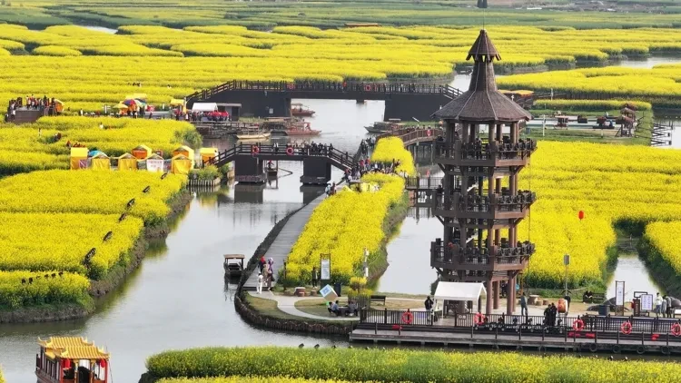 b2584e18e4e98d4e597c2dfc4e23d802-sz_562173