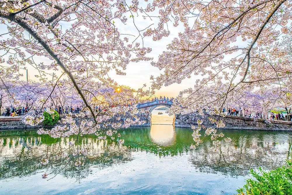 b27b49d8e9d10a6482436fdd6c4b4cf8-sz_306856-2