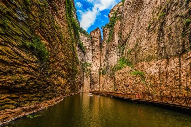 b2909f55f4a7153ff9b18ff97d5cd677-sz_1138317