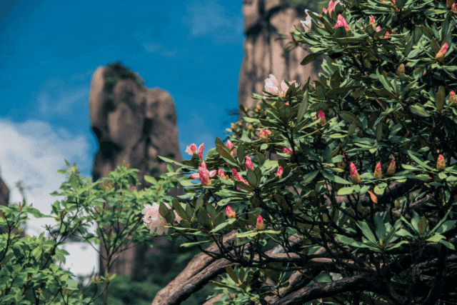 b2b7a824f2159ad55a97b5e1a3a4dffc-sz_795281