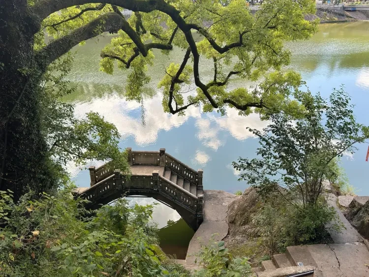 b2c0c9c5c5eccc98c34c4894f8cb2596-sz_4115057