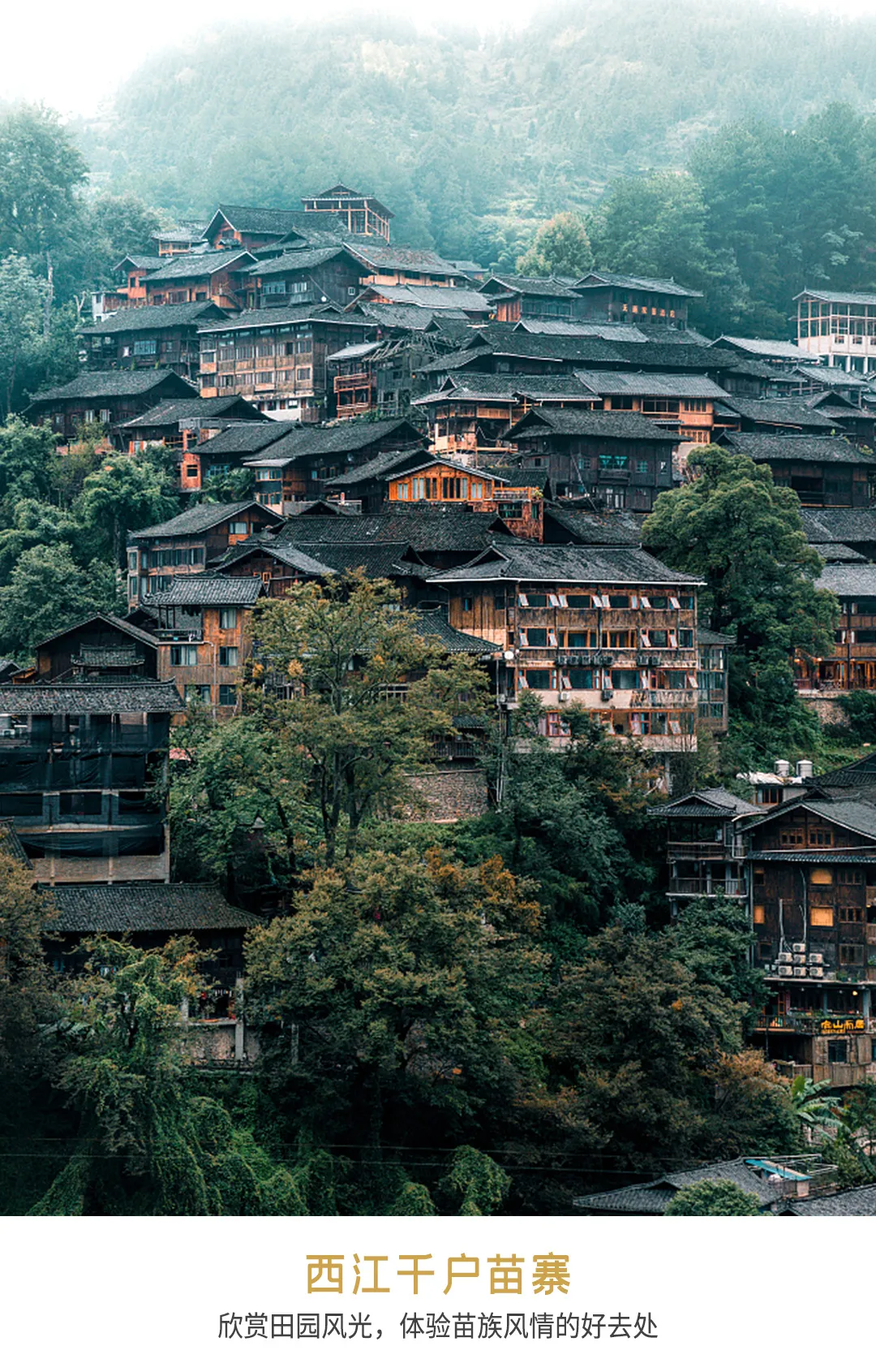 b2c39c3cce3da1364ee7d47b985e04b8-sz_1140195