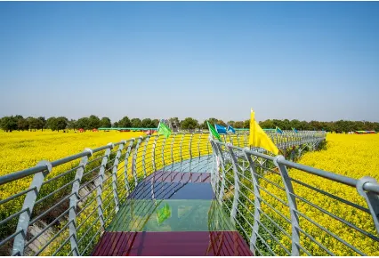 b36c54852a5f525526952ac94cf4806c-sz_206171