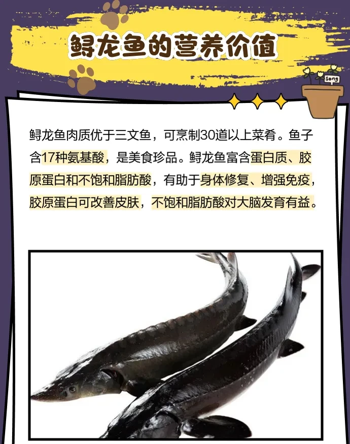 b3a70f02a709d724e17a7ca46694d6cb-sz_413699