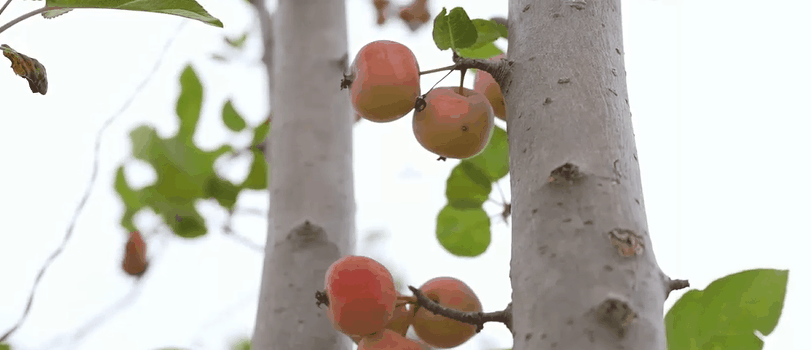 b3fe0262cc008f56f1e465fdae110dc1-sz_9758133