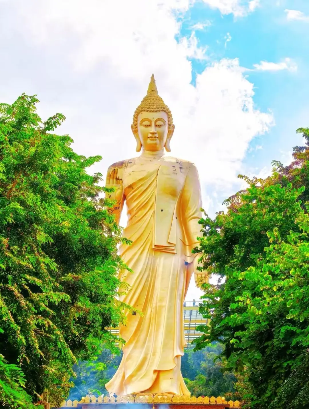 b4422edc8a29ddac198c12a1a2b3ba86-sz_415583