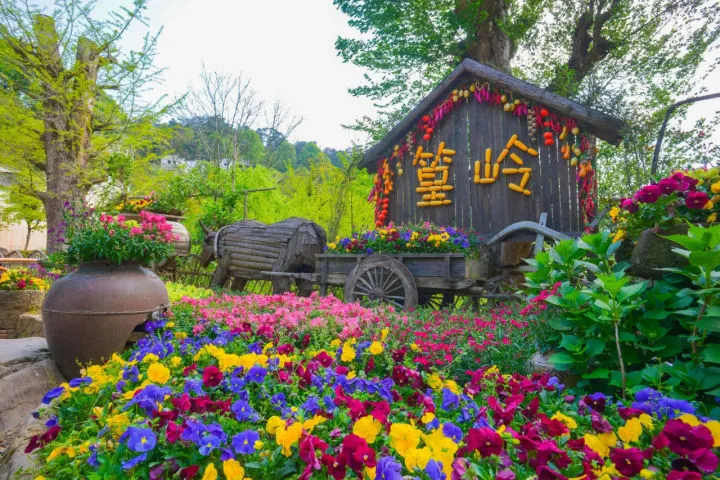 b44f04a2cec4efdd5dee59e039e3a96c-sz_146091