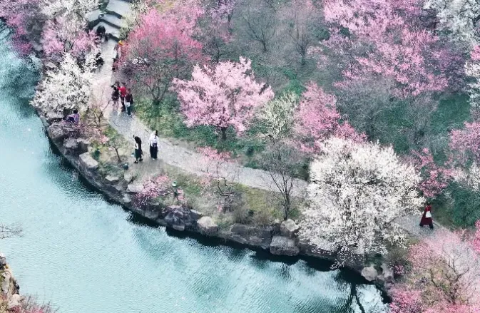 b45fb102e188945a40cf4b4d6ec78563-sz_899648-1