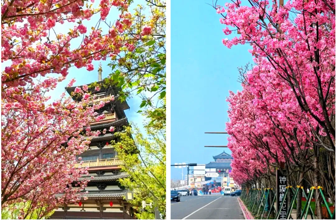 b47f833810de47ce7f346128db506f9a-sz_1704964