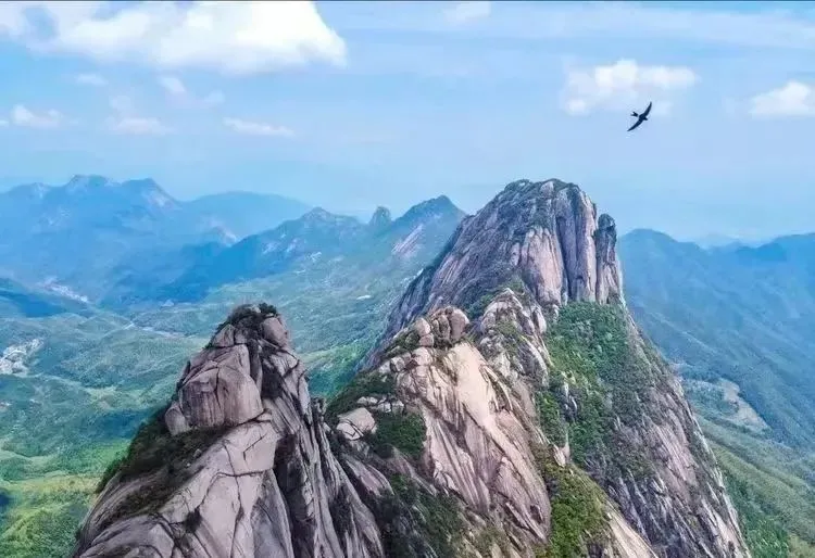 b4e2065f60774794df5308b43728478b-sz_797157-1