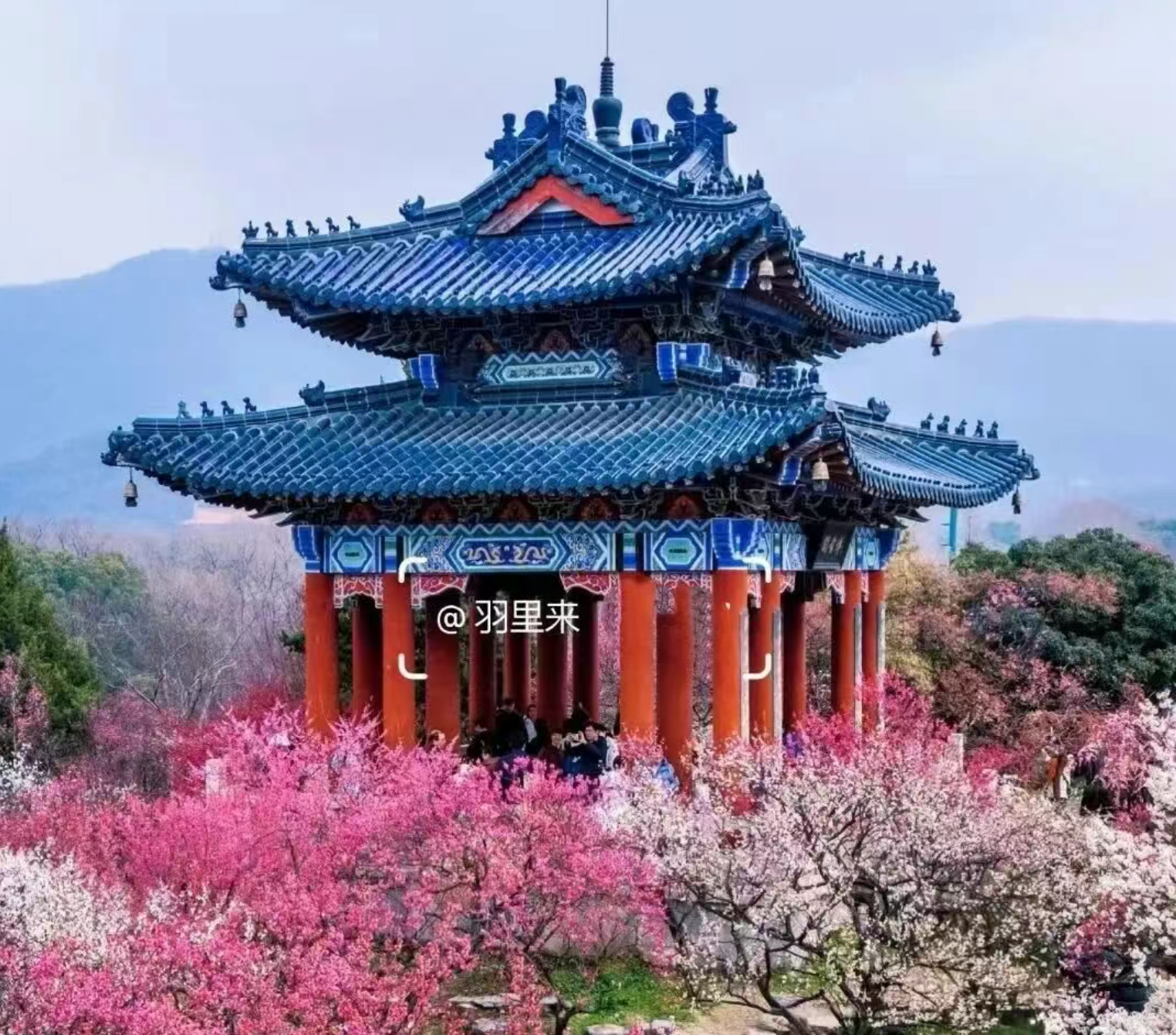 b53678a60f237382424a95163fe4bb68