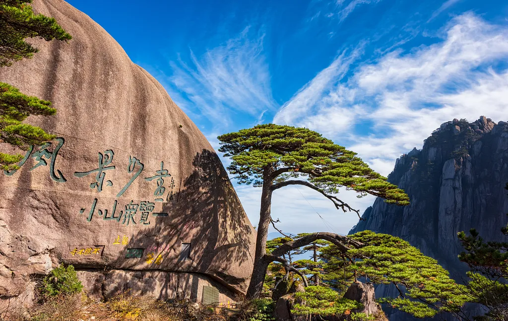 b5c2e95bd25be190eec26650e5d9e1d2-sz_1054933