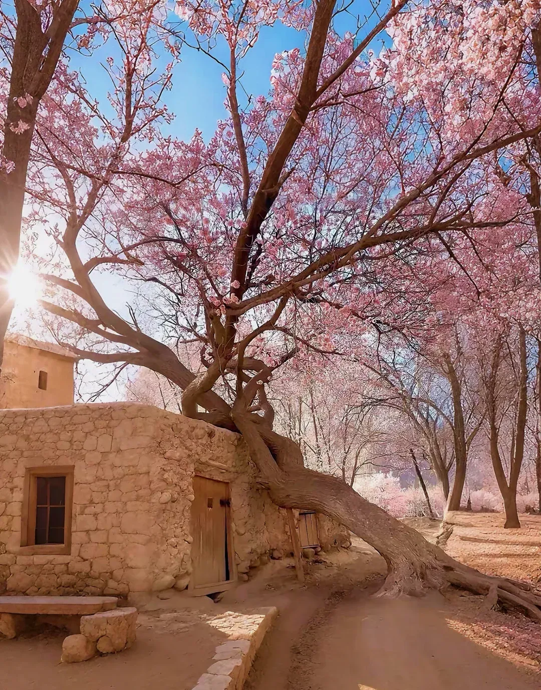 b5d7b2af3da4af407c4ff0a408dcb98e-sz_3259110