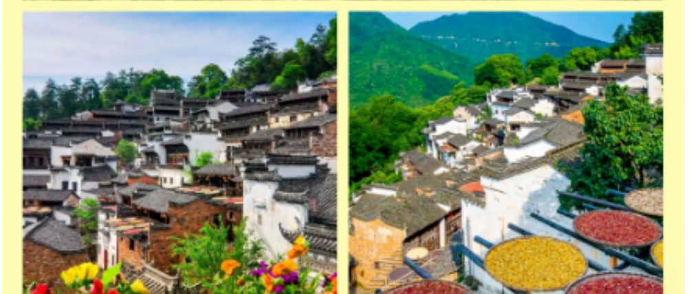 b63bd2005893040dff083b13ec8f7269