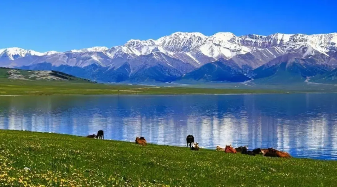 b64a254b316647fe0dfb8bf071d2286c-sz_485127