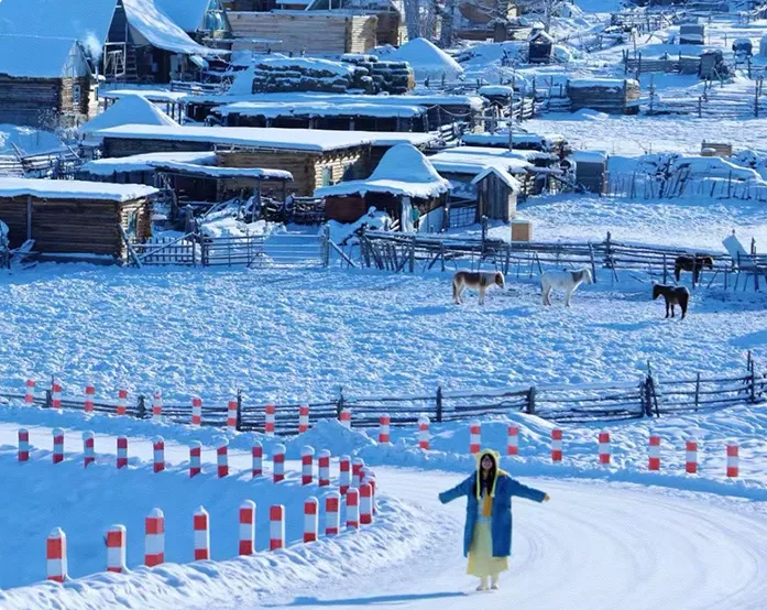 4199元起！[我的阿勒泰] 6天 *1晚白哈巴雪景大窗小木屋+连住2晚禾木雪景木屋🚐头等舱车辆出行