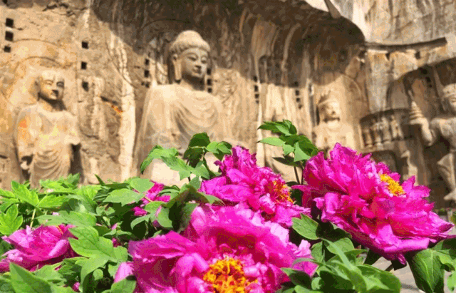 b6b996561bfbd5e44a29f60e1351c1ee-sz_669042