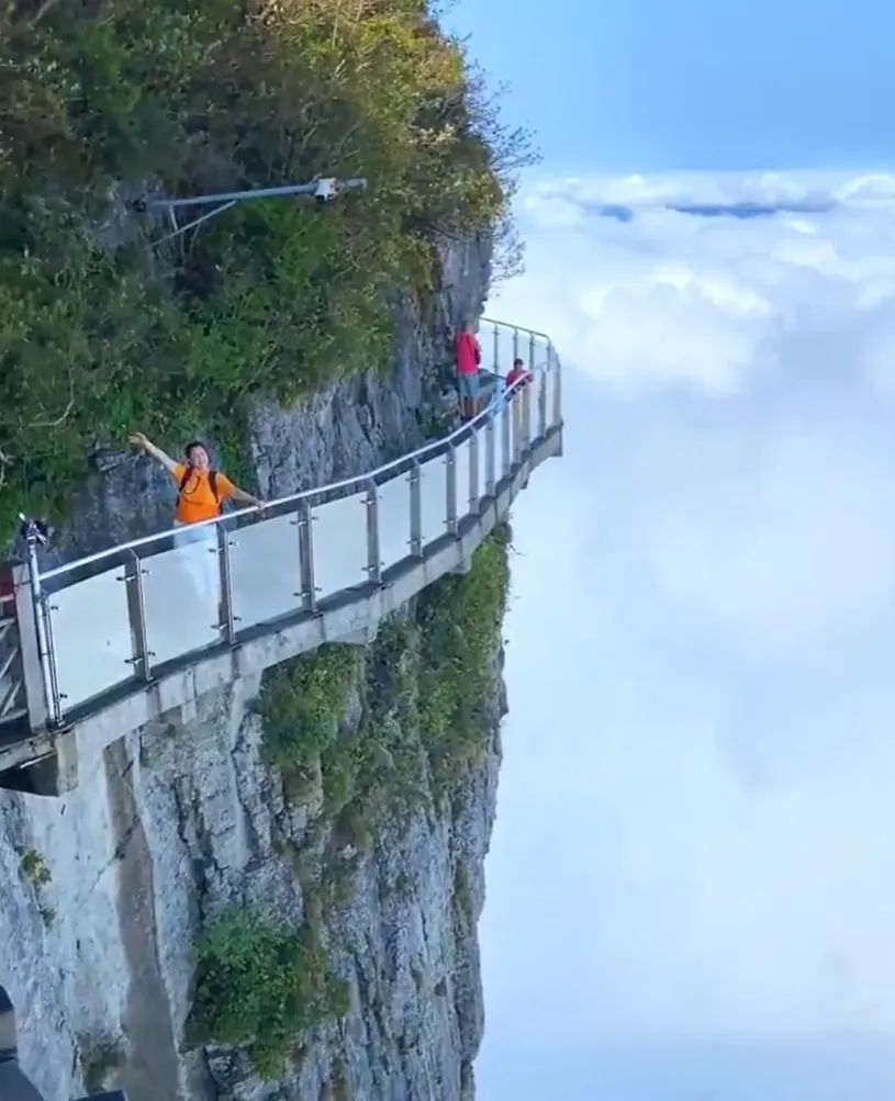 b6db9151df52f0a0cf7a9030ee9bc18f-sz_995591