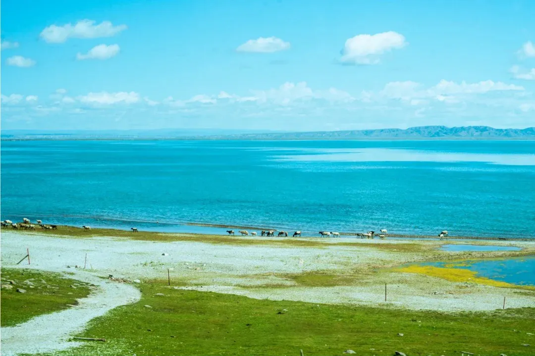 b6f996ec968014fe88e971c34452a8c8-sz_760766