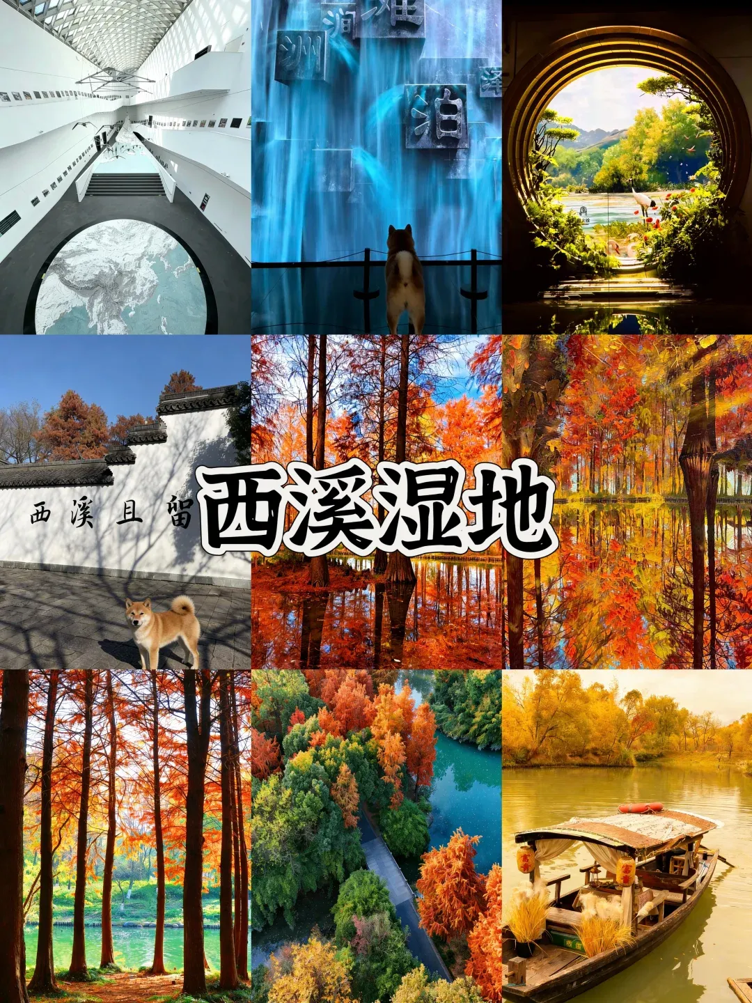 b6fb09487802015a9e076962d21121d8-sz_2829759